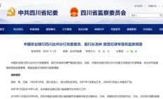 金融圈突发！龙林、林跃进被查