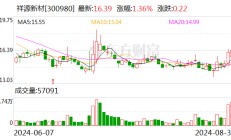 祥源新材上半年营收同比增长21.51% 消费电子及家装材料业务实现增长