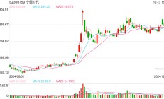 宁德时代动力电池月度市占率再创年内新低 营收连降三季度推“赛马”机制鼓励内卷