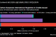 报告：印尼将向全球买家供应国内碳信用