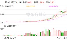 大牛股“横空出世”！60个交易日股价暴涨超400% 置入光伏资产后再添一把火？