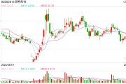 路畅科技*ST风险高悬：实控人套现14亿离场 重组吃相难看终流产、中联重科重金换来"烫手山芋"