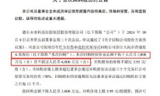 德尔未来首次回购股份仅100股 支付总额443元人民币！此前公告回购不低于3000万元