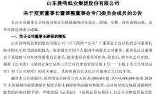 纸业大佬，因个人原因辞职！去年税前薪酬超300万元