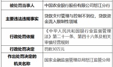 农业银行怒江分行、兰坪白族普米族自治县支行共计被罚50万元：违规发放虚假按揭贷款等