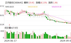 正丹股份拟投资不超8000万美元 在马来西亚建设生产基地