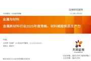 金属新材料2025年度策略：材料赋能新质生产力 | 天风金属新材料刘奕町团队