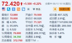 美股异动丨Sea涨超8.2% Q2营收同比增长22.9%超预期 上调GMV指引