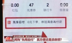 电商平台先用后付是套路？专家：很便利但有风险