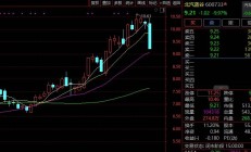 太突然！A股汽车龙头尾盘跌停，发生了什么？