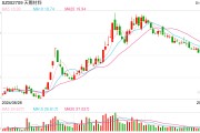 电解液“一哥”天赐材料业绩再腰斩，比两年前少赚50亿元