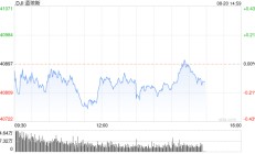 午盘：美股小幅下滑 道指下跌0.1%