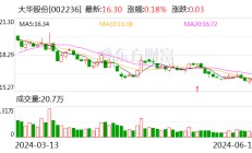 大华股份：公司能源行业线的解决方案可广泛用于氢、石化、煤炭、电力产业链的各场景中