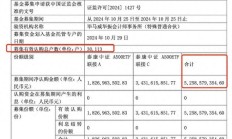 中证A500指数基金规模达到960亿，触达千亿门槛仅用一个月，第二批上报与发行在路上