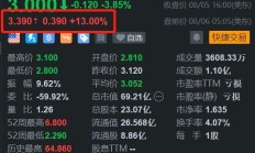 Lucid盘前涨13% 获PIF新投资15亿美元+Q2营收超预期