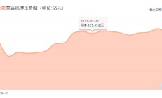 金鹰基金2024Q2非货规模缩水74亿，排名从第76位降至87位，公司总经理为周蔚，上任两年多公司总规模不增反降