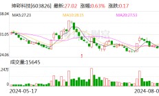 坤彩科技：2024年上半年净利润同比增长18.09%