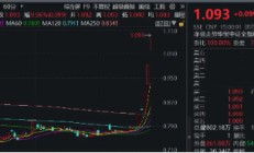 牛市急先锋！长假港股券商股疯狂抢跑，券商ETF（512000）近2日狂揽看多资金5．52亿元