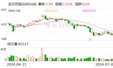 武汉控股：2024年上半年净利同比预降74.48%-82.89%