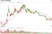 鹏辉能源：2024年预计净亏损1.65亿元—2.32亿元，同比盈转亏