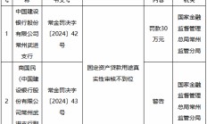 建设银行常州武进支行被罚30万元：固定资产贷款用途真实性审核不到位