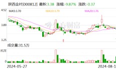 陕西金叶上半年净利润同比增长37.61%