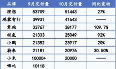 新势力“银十”大丰收：零跑销量直逼4万辆，极氪、小米等创新高