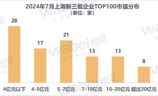 2024年7月上海新三板企业市值TOP100：22家企业冲击北交所