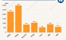 硅谷成大选赢家！七巨头市值一周增9000亿美元，马斯克3000亿美元身家稳居全球第一