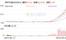 17天16板，中小投资者狂扫超16亿元，机构大举卖出！深圳华强再次提示风险！