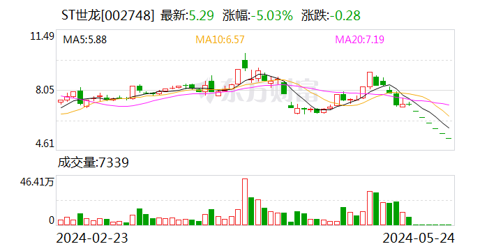 ST世龙：延期回复深交所年报问询函