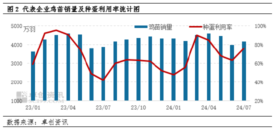 7月蛋鸡苗价格环比上涨  8月或仍存涨势