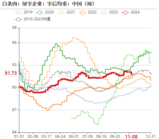 生猪：如何看待11月下半月行情？