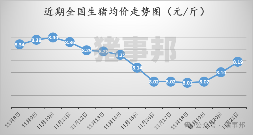 11月21日猪价汇总（继续普涨，但情绪分化！）