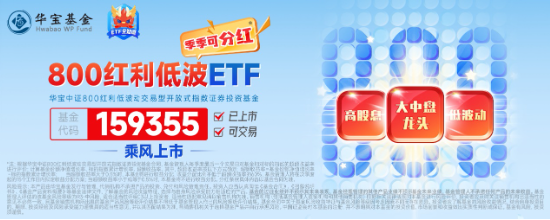 3400点，拿下！海外突传重磅，CXO狂飙，医疗ETF（512170）冲击4%！能守亦能攻，800红利低波ETF放量涨1.67%